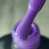 ZS02