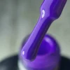 ZS07