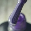 ZS08