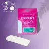 Staleks Ανταλλακτικά Αυτοκόλλητα για Ράσπα DFE-10-100 grit