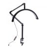 Smart Moonlight Half Moon Lamp Black