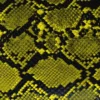 VI PRO ELITE MANI STAND GREEN SNAKE 2