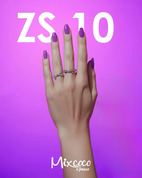 ZS 10