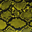 VI PRO ELITE MANI STAND GREEN SNAKE 2